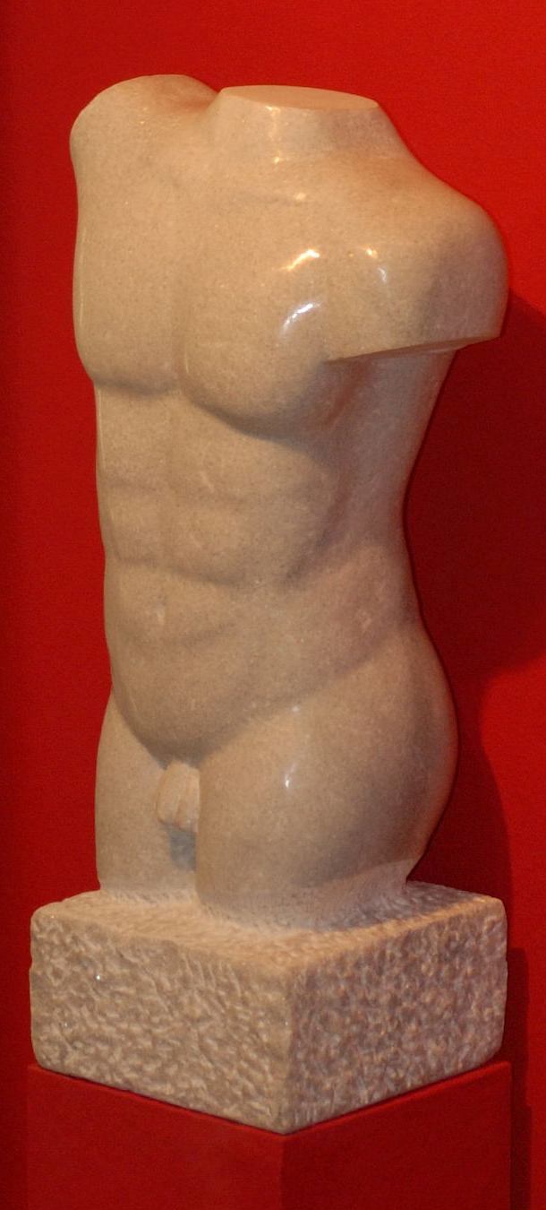 torso